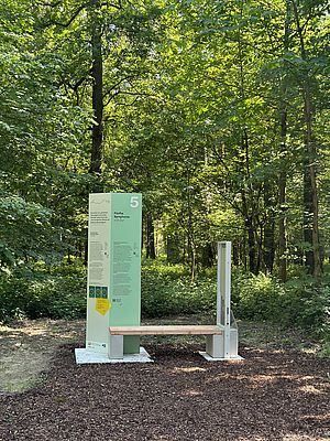 Eine Holzbank mit einem grünen Schild mit der Nummer 5, aufgestellt in einem bewaldeten Gebiet. Der Wald ist dicht mit üppigem Baumbestand.