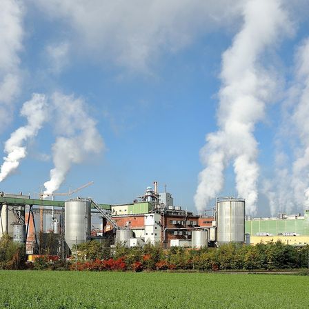 Eine Industrieanlage mit großen Schornsteinen stößt weißen Rauch gegen einen blauen Himmel aus. Die Anlage ist von grünen Feldern und Büschen umgeben.