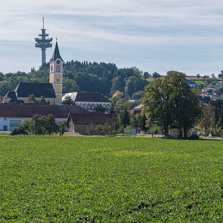 Ein großes Feld mit grünen Pflanzen ist im Vordergrund. Eine Stadt mit einem Glockenturm ist im Hintergrund. In der Ferne gibt es einen Turm und einen Wald.
