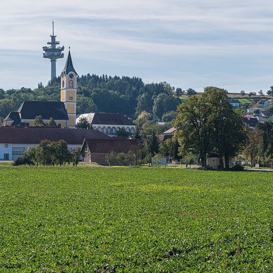 Ein großes Feld mit grünen Pflanzen ist im Vordergrund. Eine Stadt mit einem Glockenturm ist im Hintergrund. In der Ferne gibt es einen Turm und einen Wald.