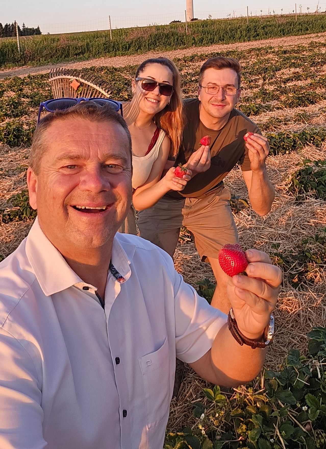 Drei Personen sind in einem Erdbeerfeld. Ein Mann macht ein Selfie und lächelt, während zwei andere Erdbeeren halten.