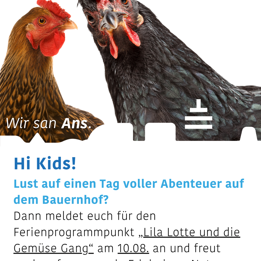 Two chickens, one brown and one black, are shown with their heads close together. The brown chicken has a red comb and wattle, while the black chicken has a red comb and wattle. The image has a white background and text in German.