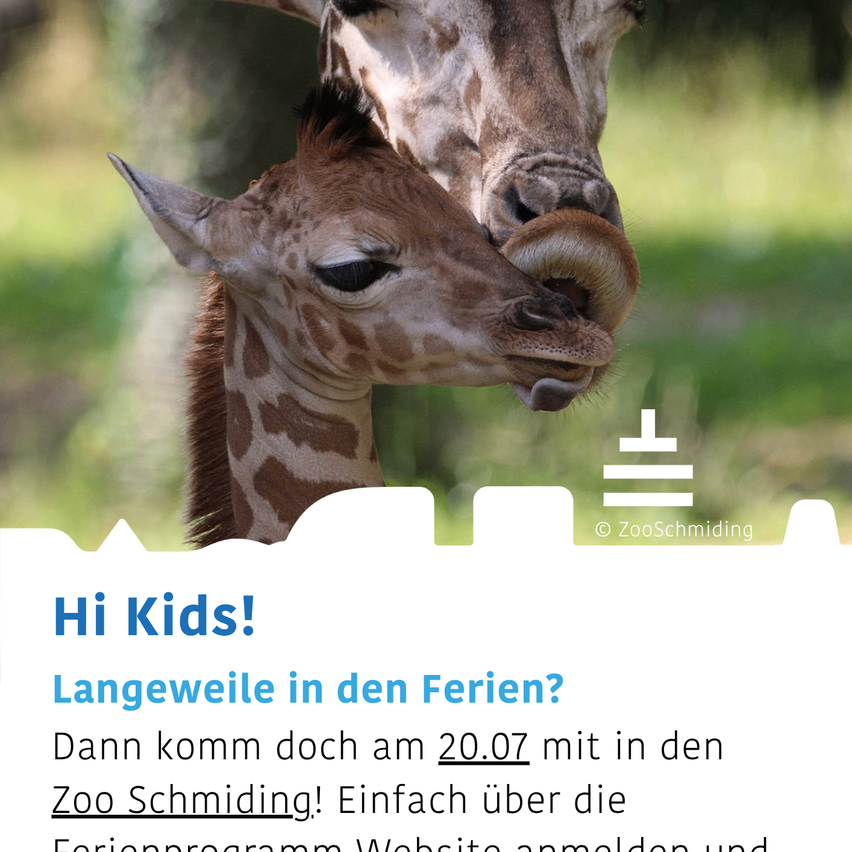 A giraffe mother and her baby are shown in a natural setting, with the baby nuzzling its mother's neck. The image has a watermark with the text 'ZooSchmiding'.