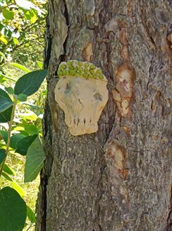 Ein geschnitzter Schädel mit grünen Früchten darauf ist an einem Baumstamm befestigt. Der Baum hat strukturierte Rinde und ist von grünen Blättern umgeben.