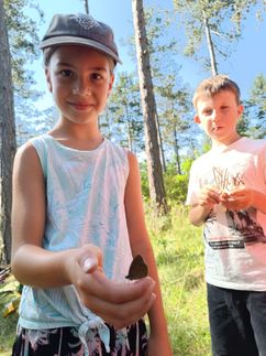Zwei Kinder, ein Mädchen, das einen kleinen Schmetterling hält, und ein Junge, der etwas in der Hand hält, stehen in einem Wald.