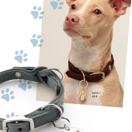 Bild enthält, Accessories, Collar, Strap, Animal, Canine, Dog, Mammal, Pet