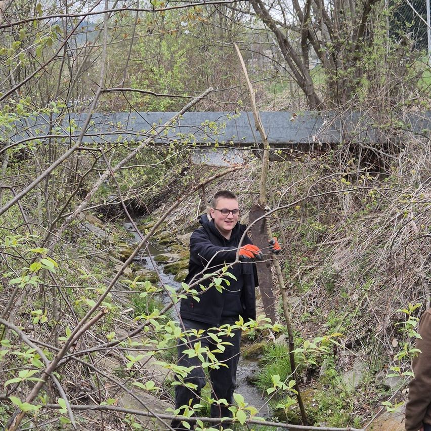 Ein Mann mit Brille und orangefarbenen Handschuhen hält einen langen Ast in einem dichten Waldgebiet. Der Boden ist steinig, und ein kleiner Bach fließt durch die Mitte.