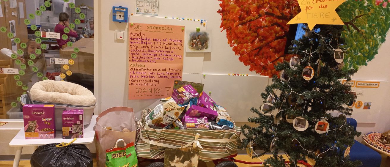 Bild enthält, Fir, Tree, Wheel, Living Room, Person, Wood, Child, Female, Girl, Flower Arrangement
