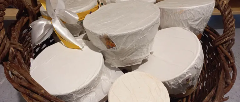 Person, Food, Cheese