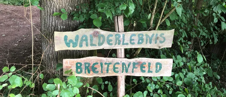 Ein Holzschild mit grünem Text steht im Wald und zeigt 'Walderlebynis Breitenfeld'. Es ist an einem Baumstamm befestigt.