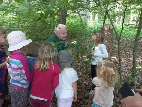 Eine Gruppe von Kindern mit einem Lehrer im Wald, der ihnen Pflanzen zeigt. Der Lehrer zeigt auf eine Pflanze, während die Kinder neugierig zusehen.