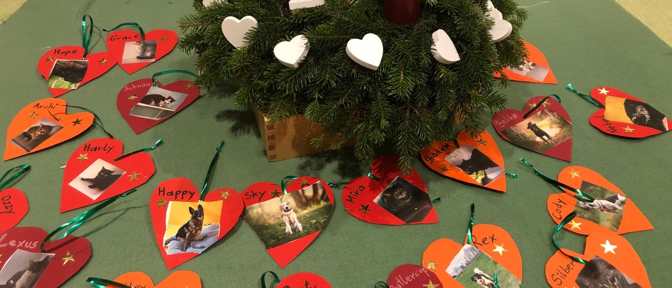 Ein grüner Tisch ist mit einem Kranz aus immergrünen Pflanzen und roten Kerzen geschmückt. Darum herum sind herzförmige Fotos von Haustieren, einige mit Sternen und Namen wie Grace, Sky und Amy.