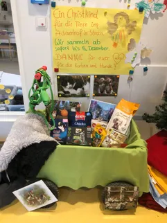 Eine Spendenaktion für Katzen und Hunde ist in einem Raum mit einem Schild und verschiedenen Gegenständen ausgestellt. Die Sammlung befindet sich in einem grünen Korb mit Spielzeug und Tierfutter.