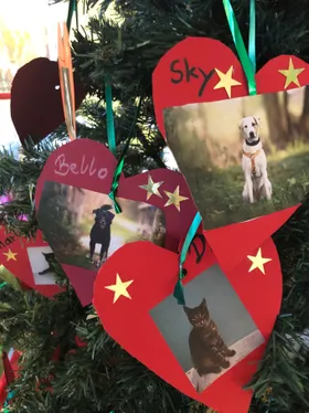 Ein Weihnachtsbaum, geschmückt mit herzförmigen Ornamenten, jedes mit einem Foto eines Haustiers. Namen wie Sky, Belvo und Mars sind darauf geschrieben. Die Ornamente haben goldene Sterne darauf.
