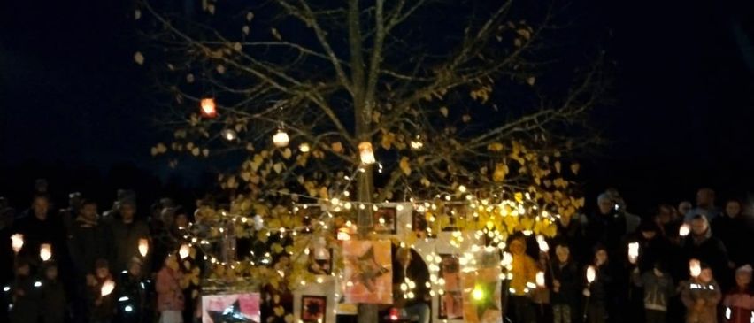 Bild enthält, Lighting, Nature, Night, Outdoors, Vigil, Tree, Urban, Grove, Person, Graveyard