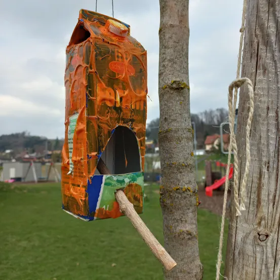 Wood, Plant, Tree, Bird Feeder