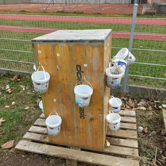 Wood, Pottery, Outdoors, Cup, Housing, House, Outhouse