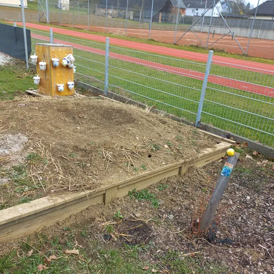 Backyard, Outdoors, Yard, Soil, Person, Baseball (Ball), Play Area, Wood, Grass, Outdoor Play Area