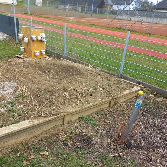 Bild enthält, Backyard, Outdoors, Yard, Soil, Person, Baseball (Ball), Play Area, Wood, Grass, Outdoor Play Area