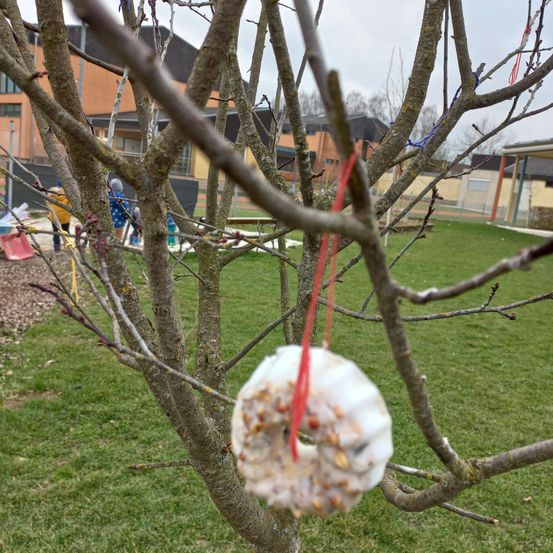 Bild enthält, Grass, Tree, Backyard, Nature, Outdoors, Yard, Person, Lawn, Wood, Bird