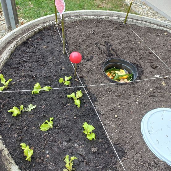 Bild enthält, Jar, Plant, Planter, Potted Plant, Pottery, Vase, Soil, Backyard, Outdoors, Sphere