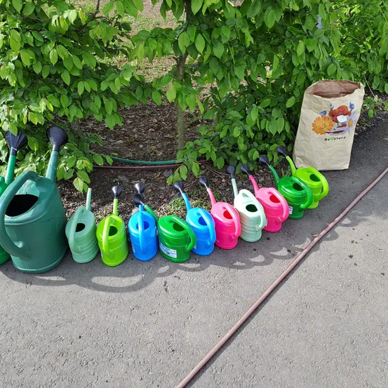 Potted Plant, Garden, Outdoors, Grass, Green, Tin, Herbal, Can, Watering Can
