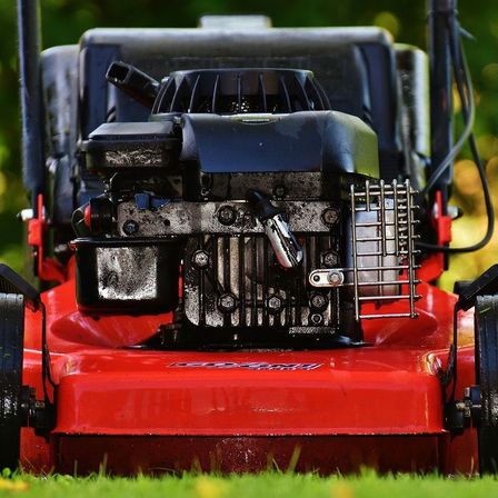 v1_migrated_image_61608994