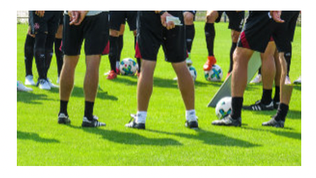 v1_migrated_image_36070676