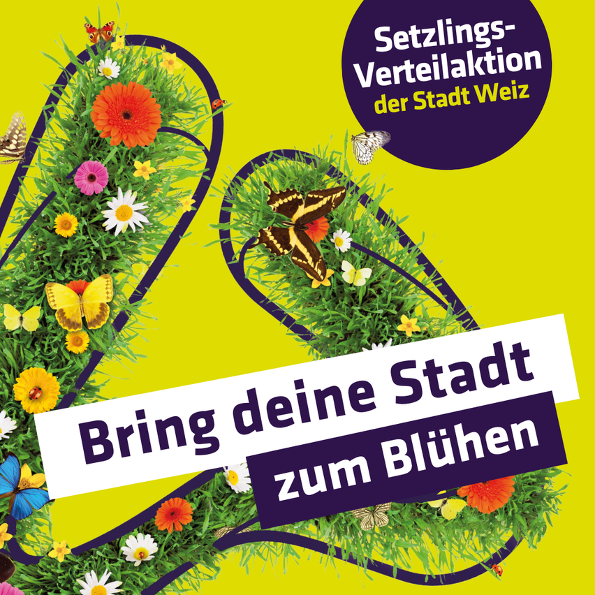 Werbeplakat für die Siedlungsverteilung der Stadt Weiz, mit dem Slogan 'Bring deine Stadt zum Blühen', auf einem leuchtend gelben Hintergrund mit Blumen und Schmetterlingen.