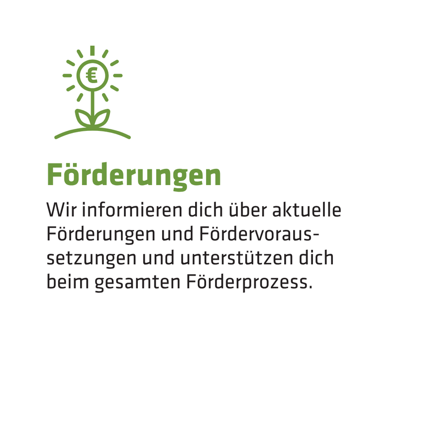 Ein Bild mit einer grünen Sonne und einer Pflanze, begleitet von Text auf Deutsch über Förderungen und Unterstützung.