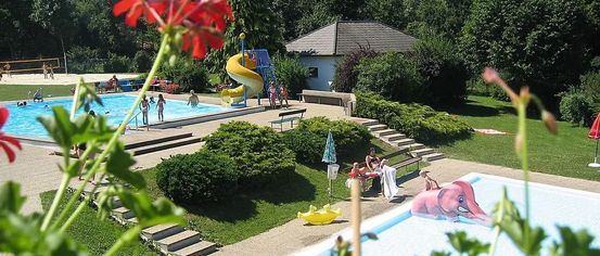Grass, Backyard, Outdoors, Pool, Water, Garden, Swimming Pool, Person, Park, Bench