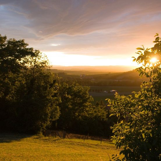 Bild enthält, Sky, Grass, Vegetation, Landscape, Flare, Sun, Sunlight, Sunrise, Scenery, Tree