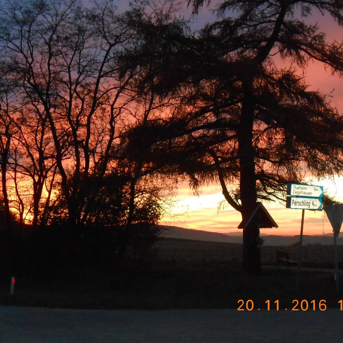 Nature, Outdoors, Sky, Tree, Landscape, Sunrise, Sunset, Vegetation, Scenery, Silhouette