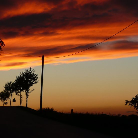 Bild enthält, Nature, Outdoors, Sky, Sunset, Tree, Silhouette, Landscape, Sunrise, Scenery, Utility Pole
