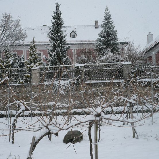 Bild enthält, Plant, Tree, Fir, Nature, Outdoors, Architecture, Building, Conifer, Winter, Snow