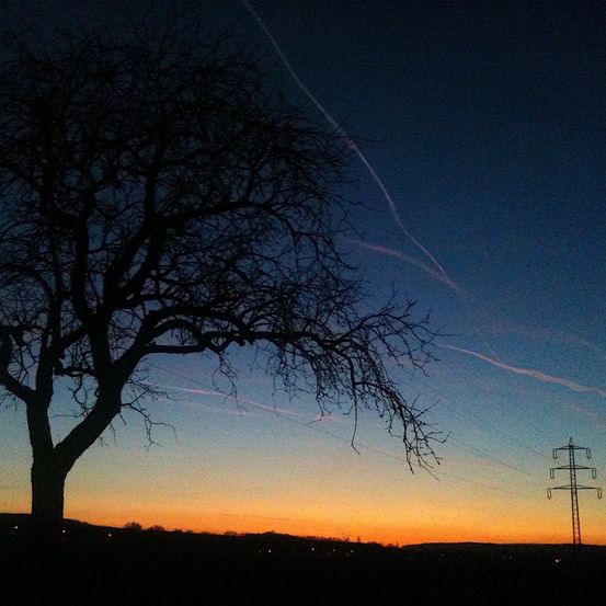 Bild enthält, Plant, Tree, Silhouette, Nature, Outdoors, Sky, Landscape, Utility Pole, Sunset