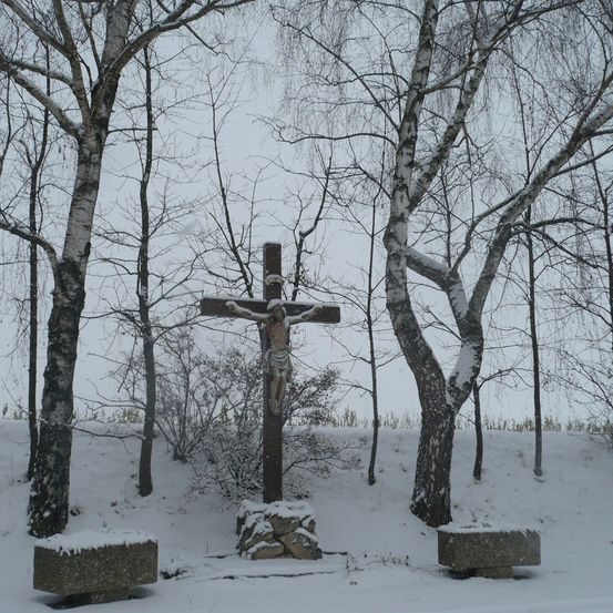 Bild enthält, Cross, Symbol, Outdoors, Nature, Plant, Tree, Winter, Person, Graveyard, Snow
