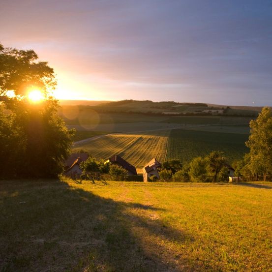 Bild enthält, Nature, Outdoors, Sky, Sunlight, Grass, Sunrise, Scenery, Landscape, Countryside, Grassland