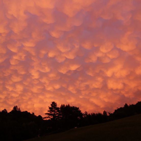 Bild enthält, Cloud, Nature, Outdoors, Sky, Cumulus, Weather, Sunset, Plant, Tree, Silhouette