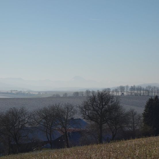 Bild enthält, Nature, Outdoors, Weather, Scenery, Tree, Grass, Fog, Landscape, Sky, Fir