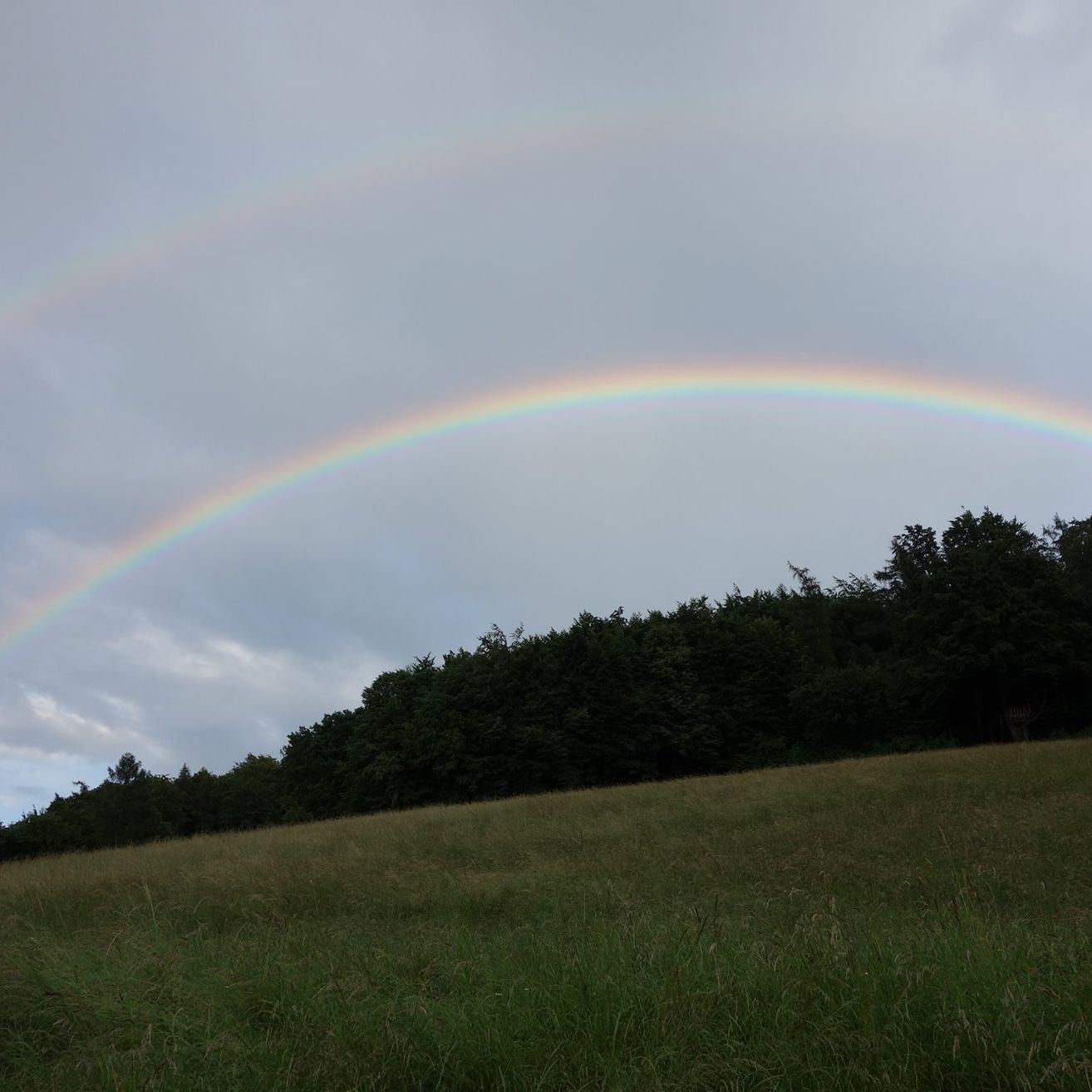 Bild enthält, Nature, Outdoors, Sky, Grass, Field, Grassland, Rainbow, Landscape, Vegetation, Meadow