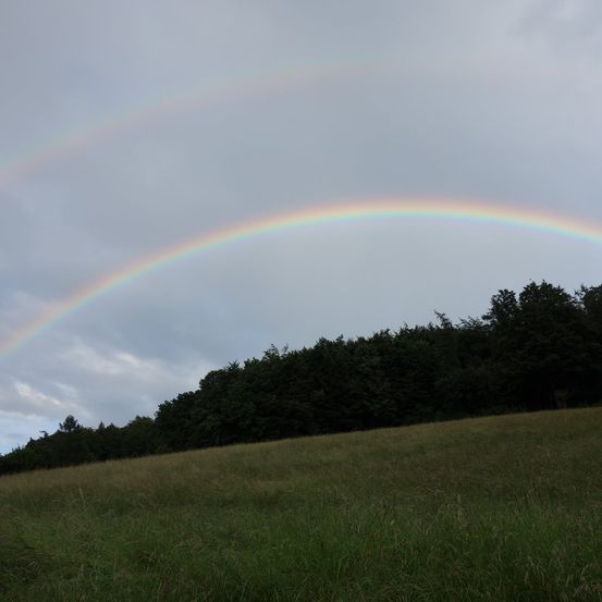 Bild enthält, Nature, Outdoors, Sky, Grass, Field, Grassland, Rainbow, Landscape, Vegetation, Meadow