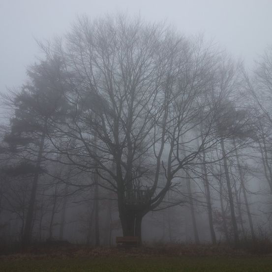 Bild enthält, Nature, Outdoors, Weather, Fog, Mist