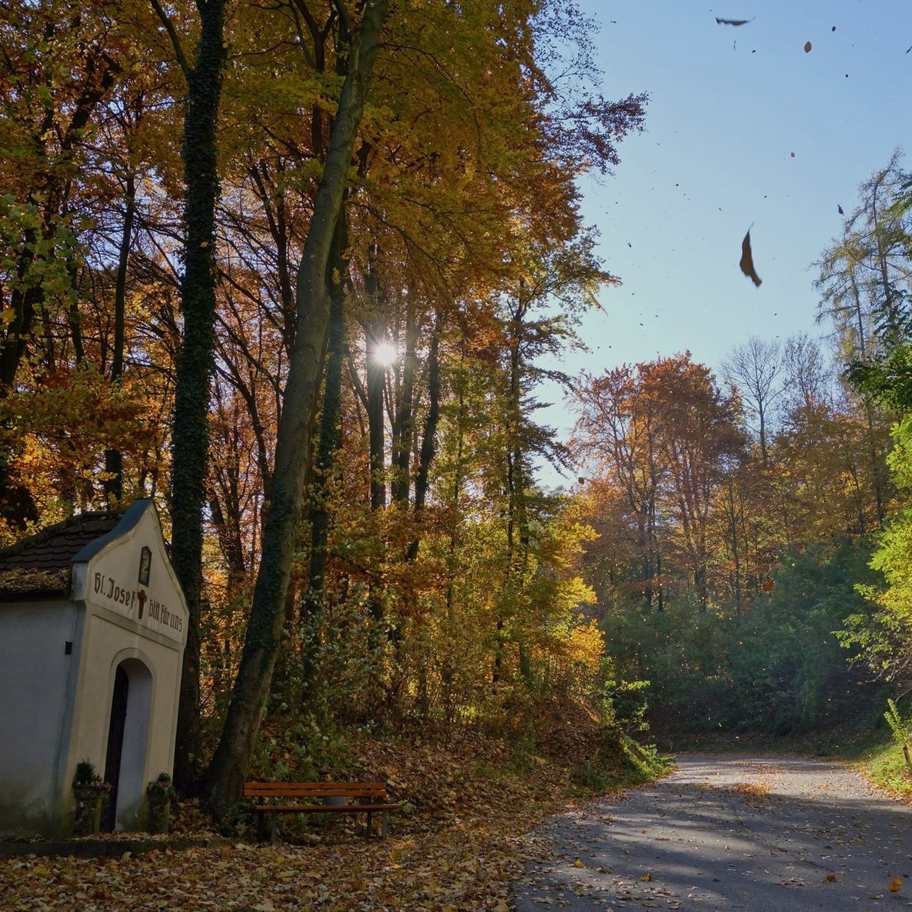 Bild enthält, Outdoors, Shelter, Vegetation, Grove, Tree, Woodland, Road, Hut, Path, Bench