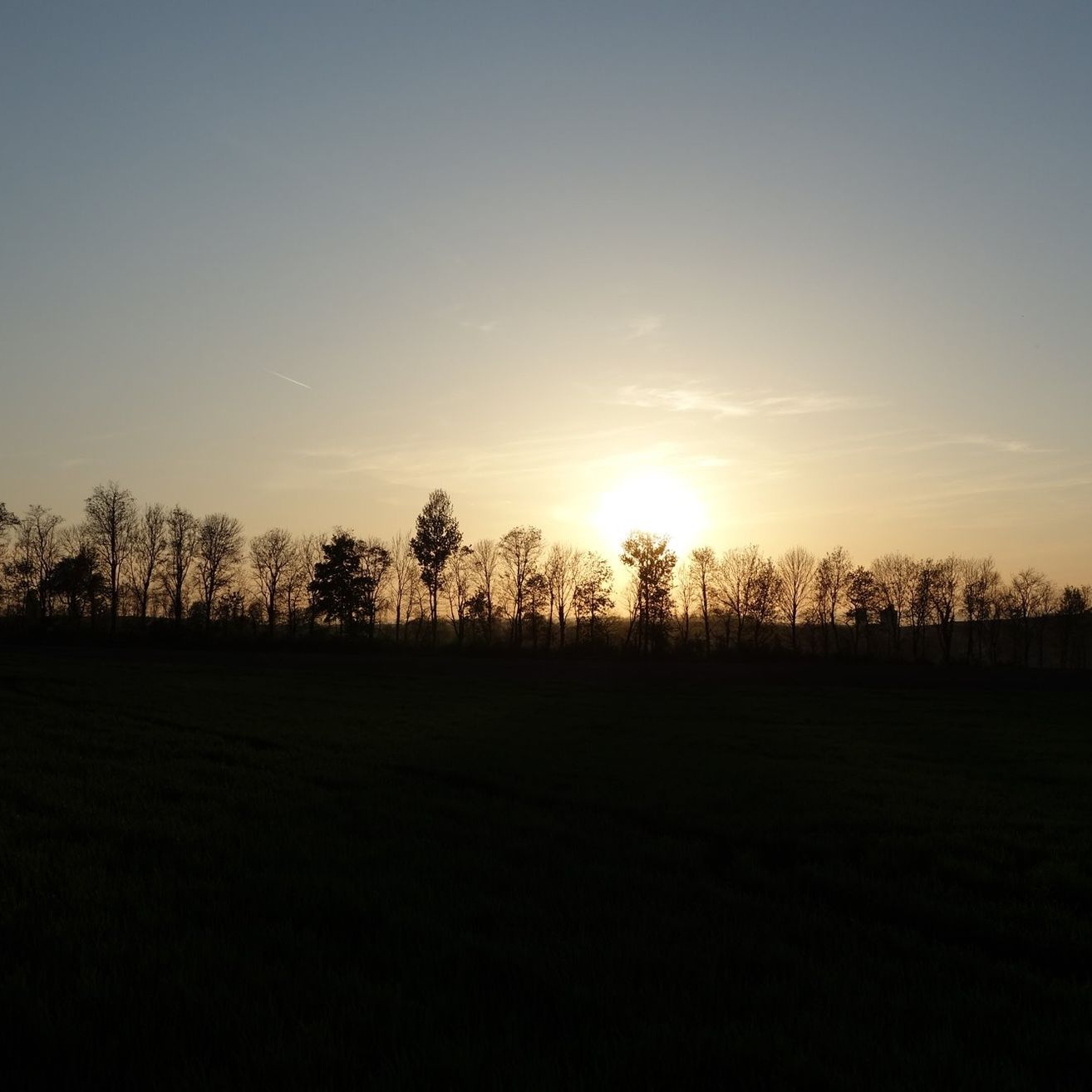 Bild enthält, Nature, Outdoors, Sky, Sun, Sunrise, Sunlight, Vegetation, Grass, Sunset, Landscape