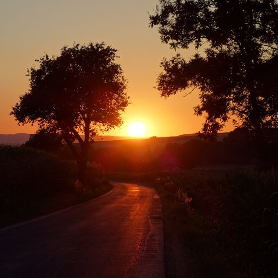 Bild enthält, Nature, Outdoors, Sky, Sunset, Sunrise, Landscape, Sun, Tree, Sunlight, Road