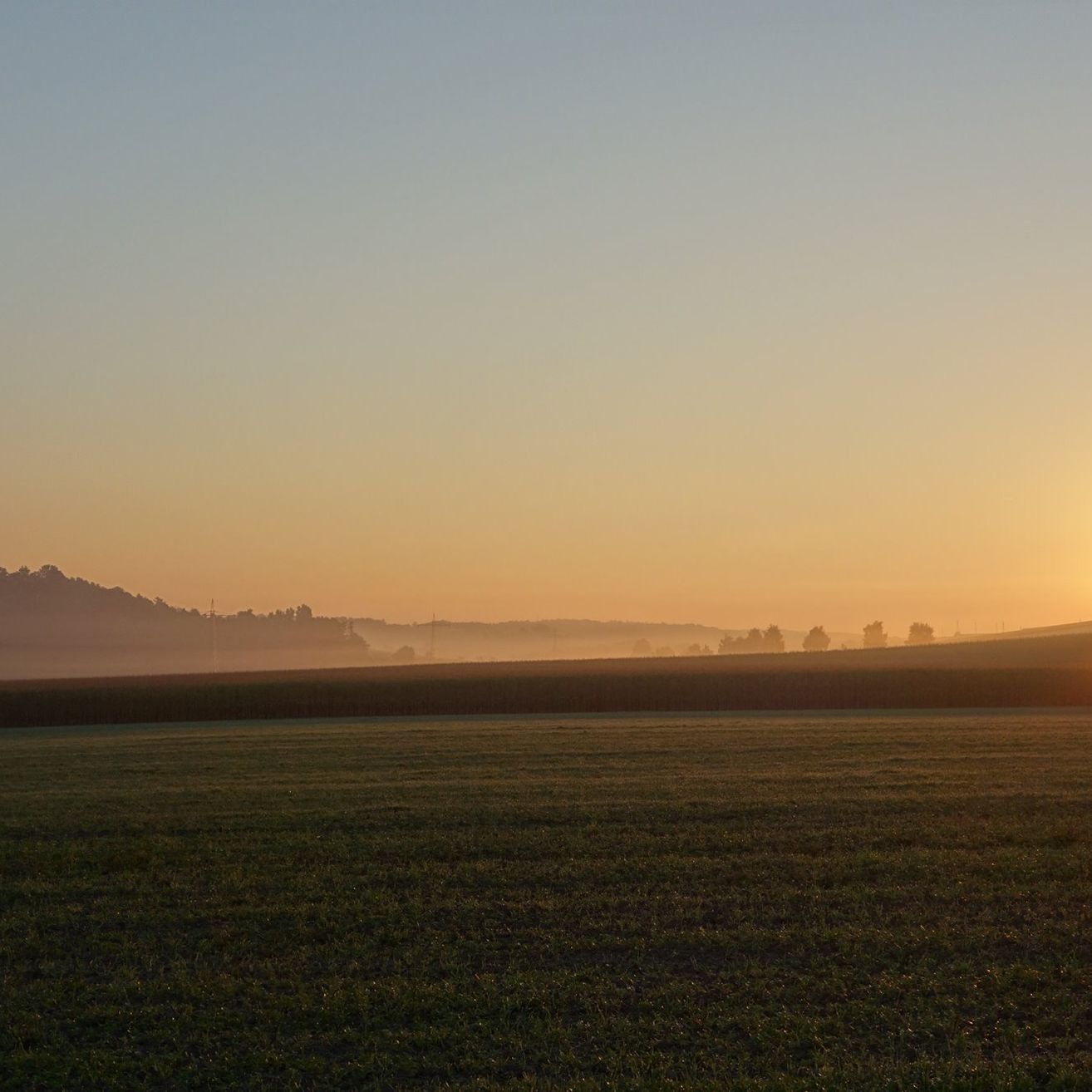 Bild enthält, Nature, Outdoors, Sky, Sunrise, Grass, Sun, Sunlight, Sunset, Scenery, Horizon