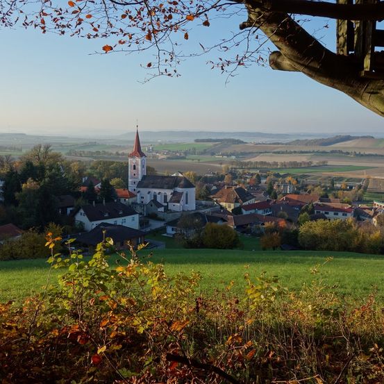 Bild enthält, Grass, Spire, Tree, Nature, Outdoors, Scenery, Grassland, Bench, Landscape, Tree Trunk