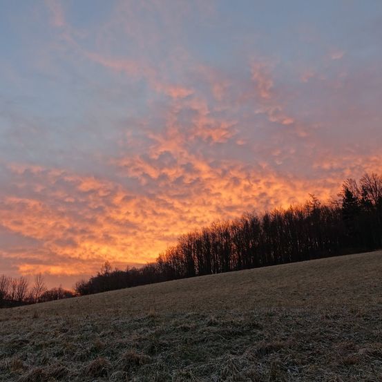 Bild enthält, Nature, Outdoors, Sky, Sunset, Grass, Sunrise, Field, Grassland, Landscape, Scenery
