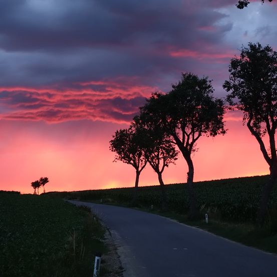 Bild enthält, Nature, Outdoors, Sky, Landscape, Tree, Sunset, Scenery, Road, Horizon, Sunrise